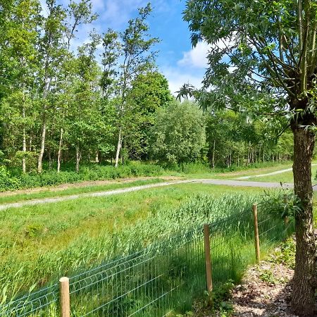 فيلا Tzummarumفي Wellnesshuis Met Hottub, Ligbad En Grote Tuin المظهر الخارجي الصورة